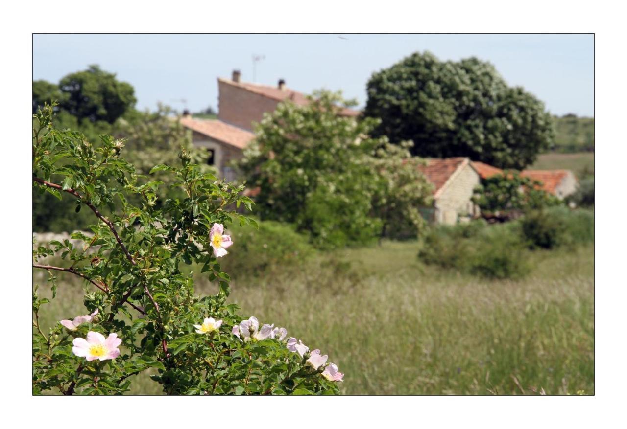 Le Mas De La Chadeniere Villeneuve-de-Berg Exteriör bild